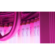 Коллатэнарий "Space Pro"