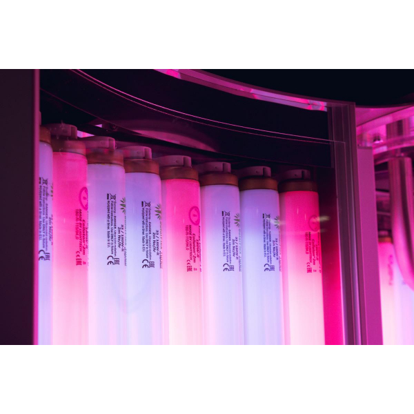 Коллатэнарий "Luxura X5 34 SLI"